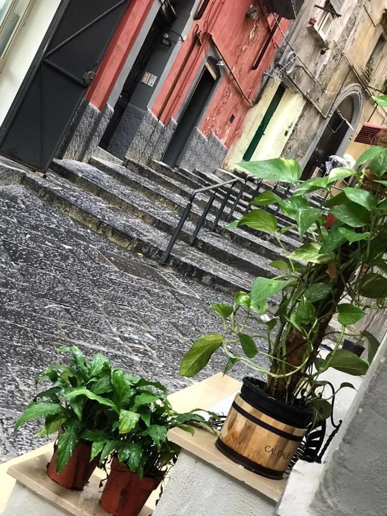 Casa Mari' Centro Storico Vicino Hotel Caracciolo Napoli Esterno foto